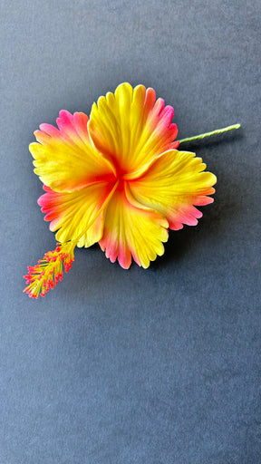 hibiscus with stem
