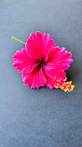 hibiscus with stem