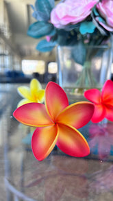 Mini plumeria with stem solid