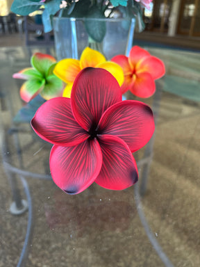 Ombré Plumeria with stem