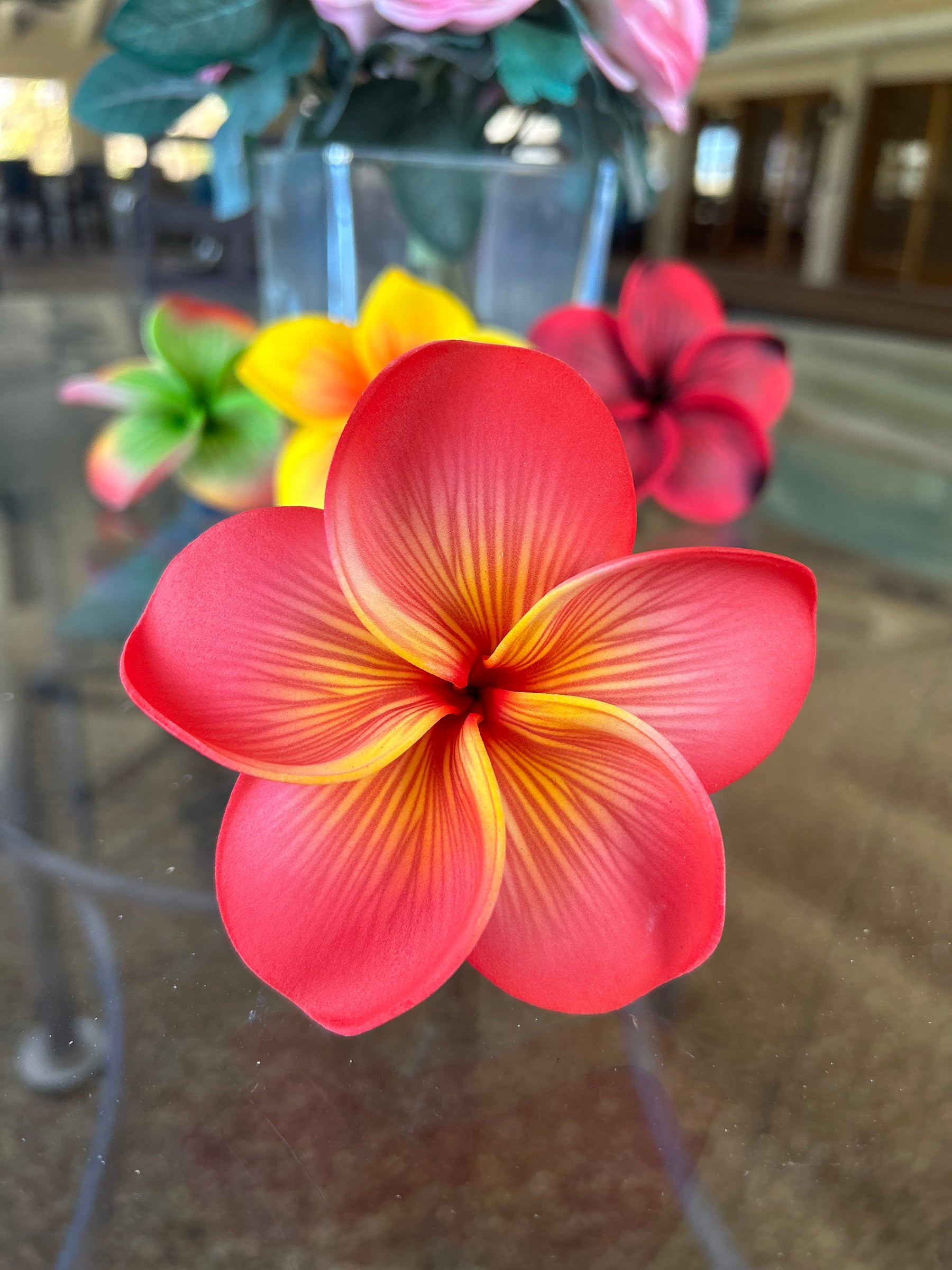 Ombré Plumeria with stem