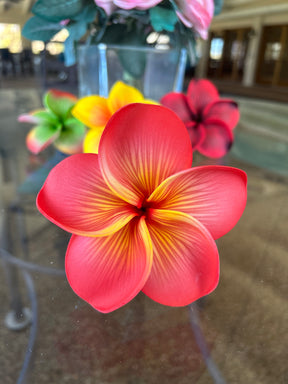 Ombré Plumeria with stem