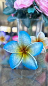 Mini Ombré plumeria with stem