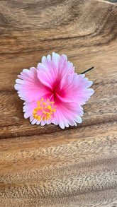 hibiscus with stem