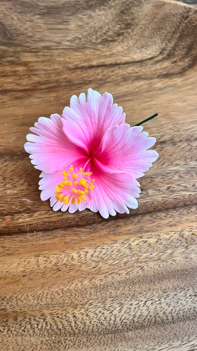 hibiscus with stem