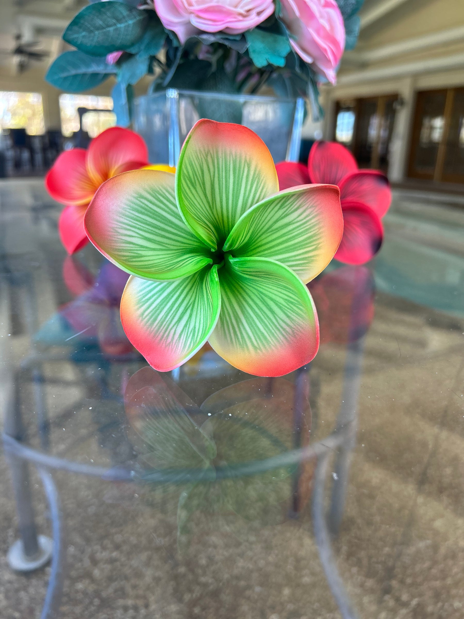 Ombré Plumeria with stem
